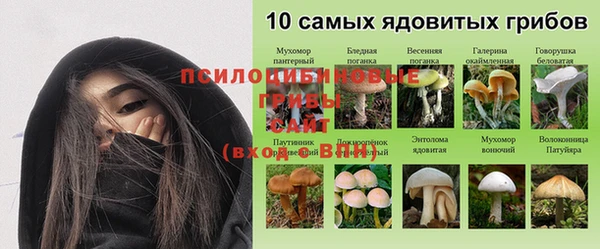 дурь Аркадак